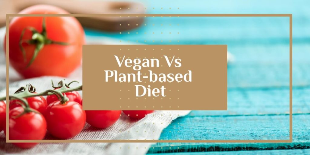 Vegan Vs Plant-based Diet
