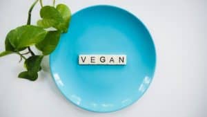 vegan lifestyle